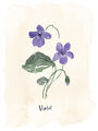Image Not Available
